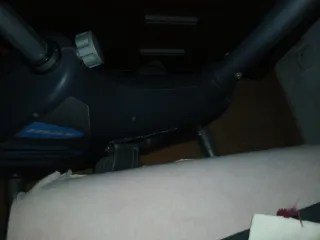 Bicicleta Estática BH Buen Estado