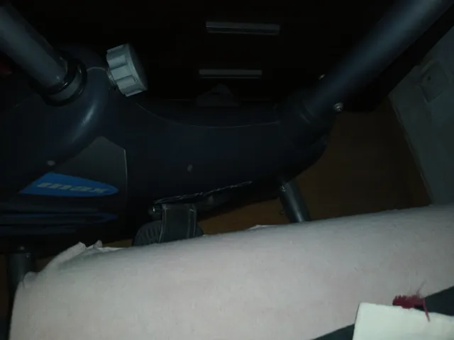 Bicicleta Estática BH Buen Estado