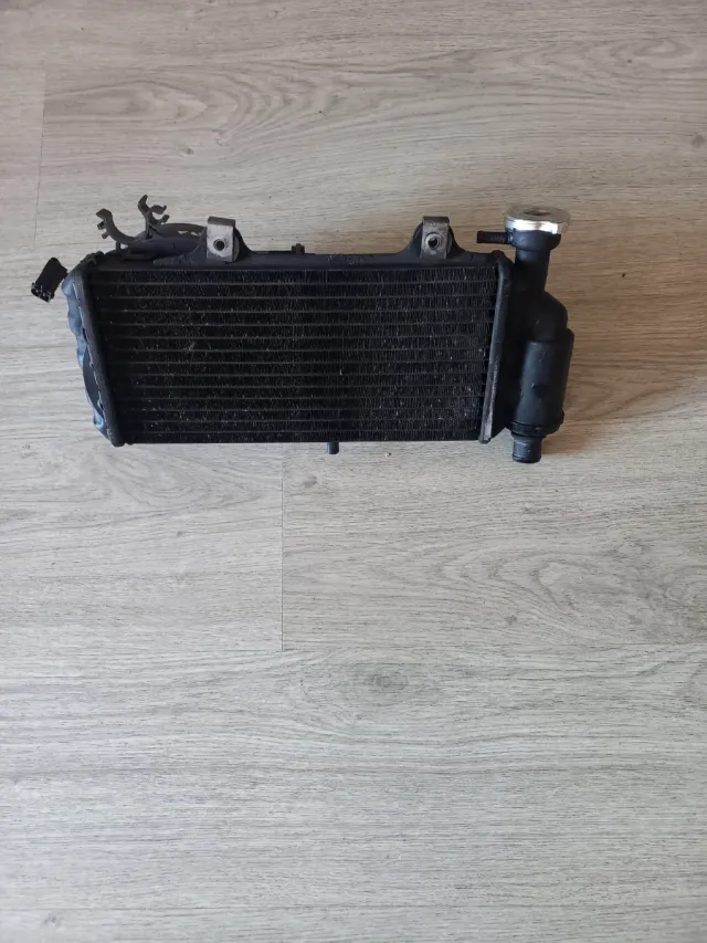 Radiador BMW F 650 GS