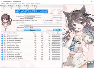 2 Discos Duros WD 40GB IDE 3.5