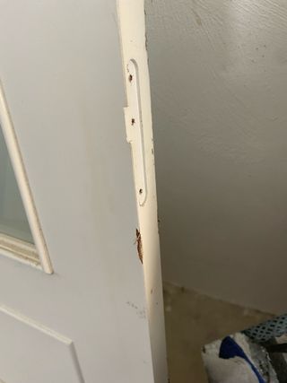 Puerta interior maciza Leroy Merlín