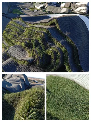 Venta césped artificial