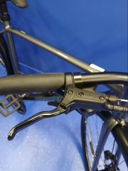 Bicicleta Giant Escape Gravel gris