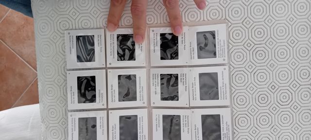 Diapositive Antica Roma e Vaticano