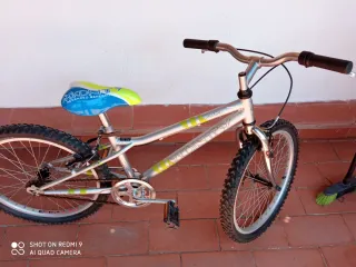 Bicicleta Monty