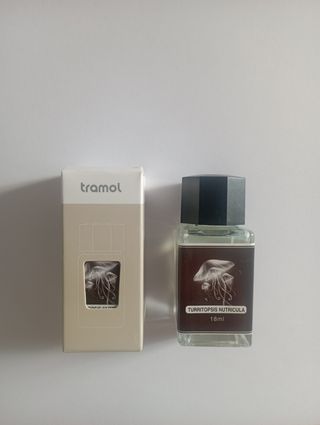 Inchiostro invisibile