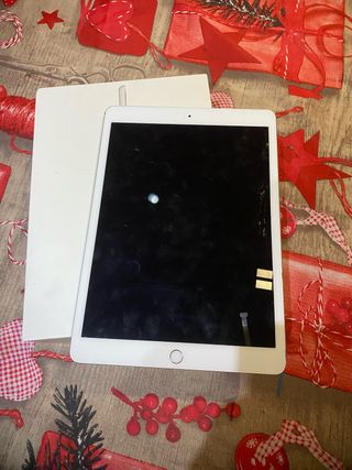 iPad 7 128gb piezas