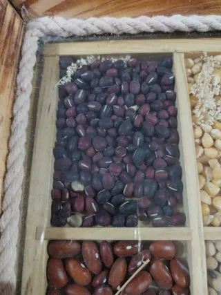 Vassoio in legno con divisori