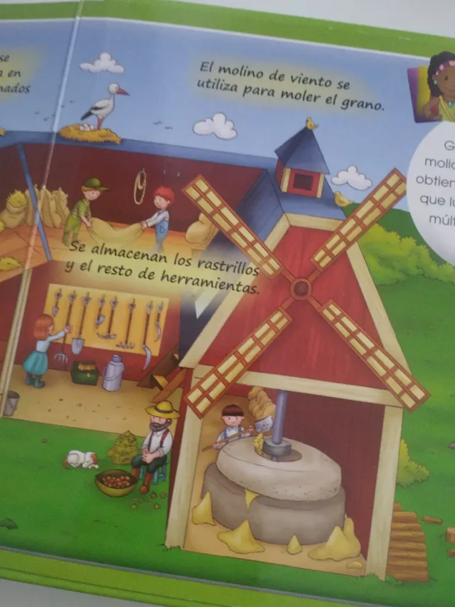 Mi mundo interesante. Naturaleza