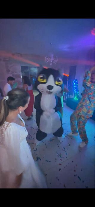 Disfraz inflable de gato para adulto