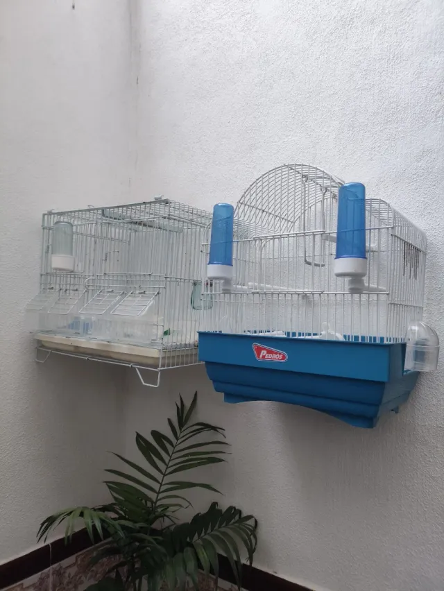 Jaula para canarios azul y blanca