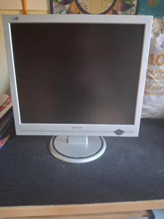 Pantalla Philips 170S