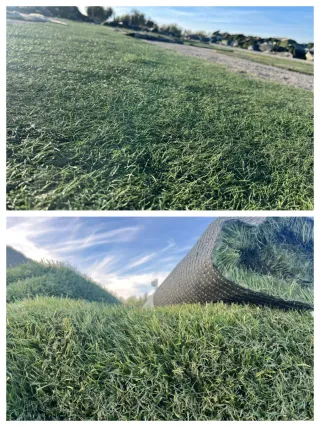 Césped artificial reciclado