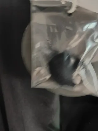 Americana Terciopelo Green Coast Estampada