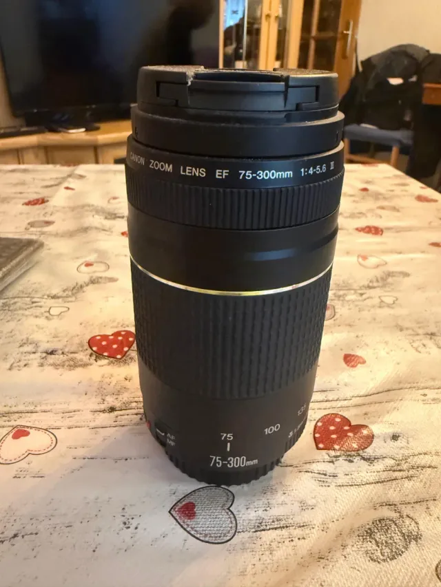 Objetivo Canon EF 75-300mm 1:4-5.6 III