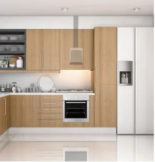 Campana extractora Cata Professional 500