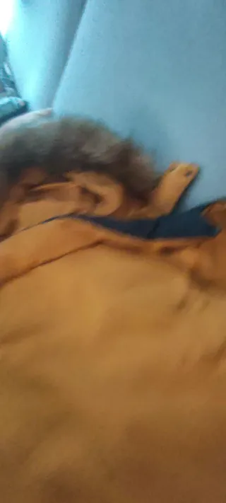 Chaqueta plumas reversible azul marino y mostaza