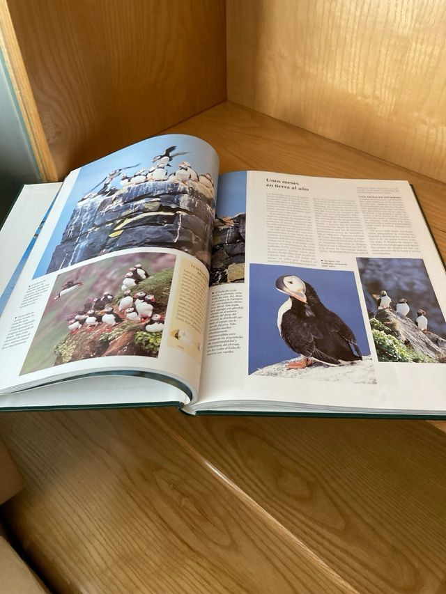 National Geographic: El maravilloso mundo de lo...