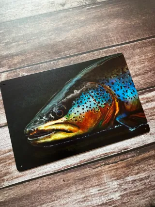 CARTEL CHAPA DE PESCA TRUCHA COMUN