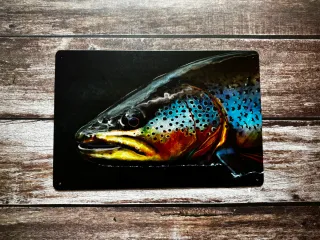 CARTEL CHAPA DE PESCA TRUCHA COMUN