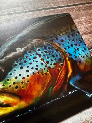 CARTEL CHAPA DE PESCA TRUCHA COMUN