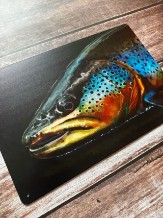 CARTEL CHAPA DE PESCA TRUCHA COMUN