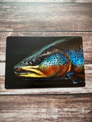 CARTEL CHAPA DE PESCA TRUCHA COMUN