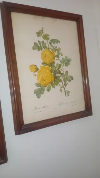 2 Quadri vintage artigianali con fiori gialli