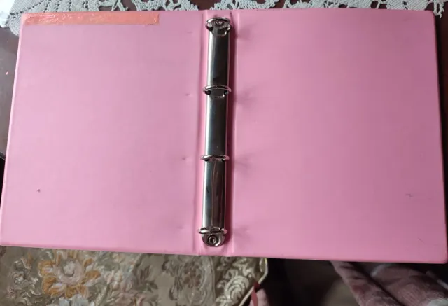 Archivador anillas Strawberry Shortcake