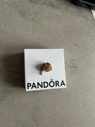 Bracciale Pandora Argento con Charm