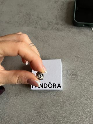 Bracciale Pandora Argento con Charm