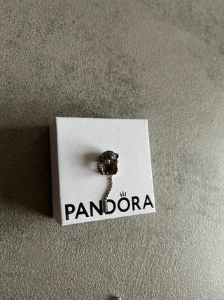 Bracciale Pandora Argento con Charm