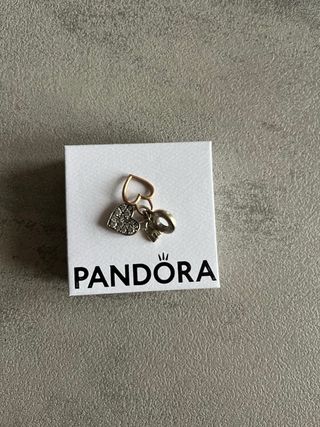 Bracciale Pandora Argento con Charm