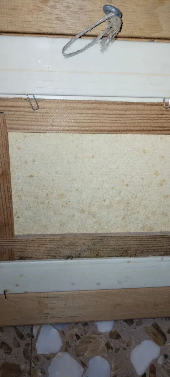 Piccolo e antico olio su tela