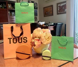 Bolsas y Cajas Tous Verdes y Rosas