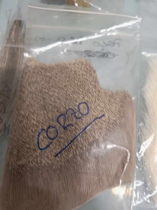 Lote materiales pesca montajes secas y ninfas