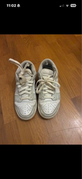 Nike Dunk Low grises y blancas