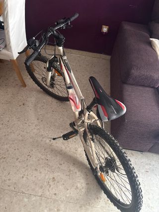 Bicicleta de montaña