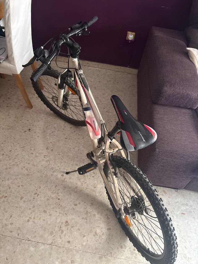Bicicleta de montaña