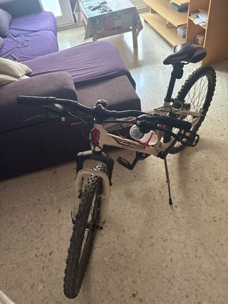 Bicicleta de montaña