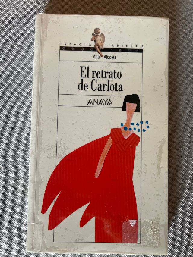 El retrato de Carlota (Espacio Abierto/ Open Sp...