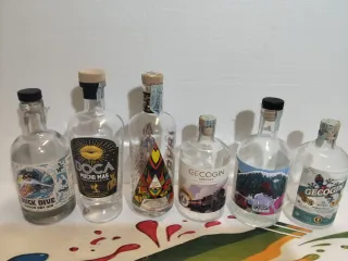 Bottiglie Gin Vuote - 5 a Scelta