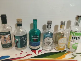 Bottiglie Gin Vuote - 5 a Scelta