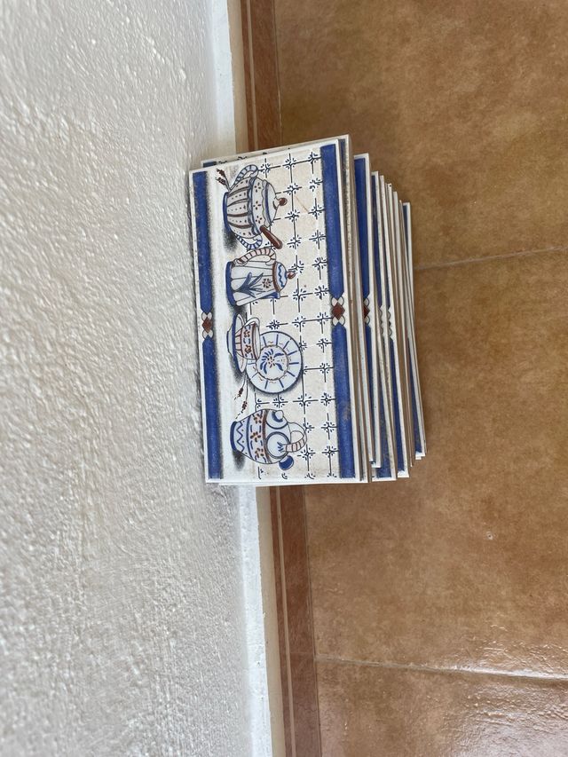 Azulejo pared cocina 20x10 cm