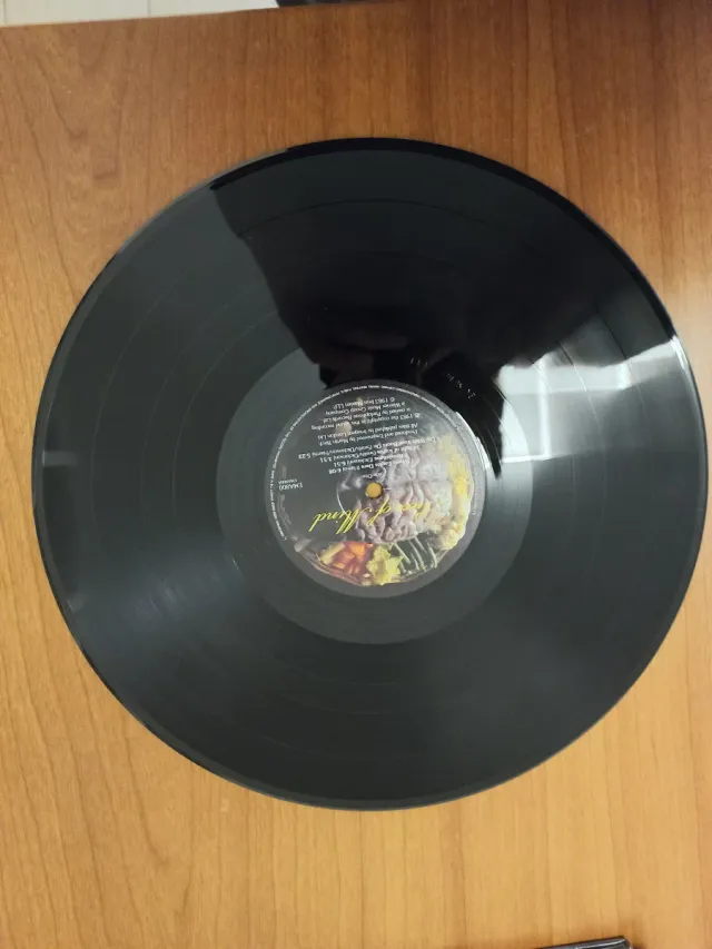 Iron Maiden Piece Of Mind Vinile 2014 never played