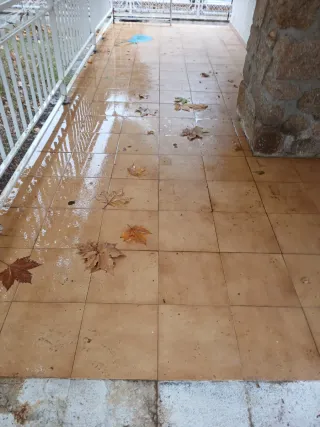 Regalo baldosas 33x33 para interior