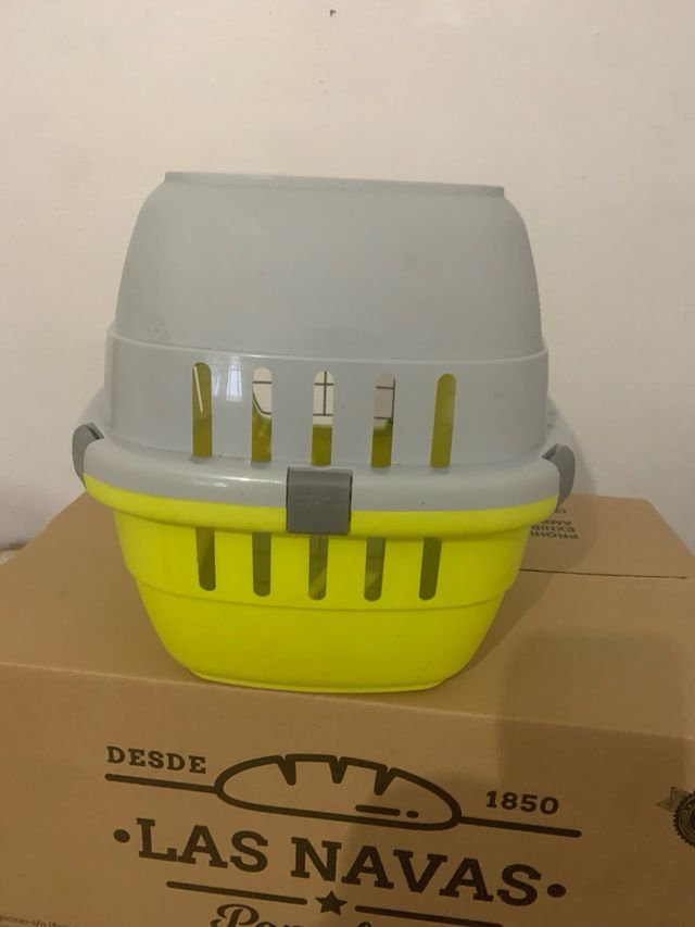 Transportín gato gris y verde.15