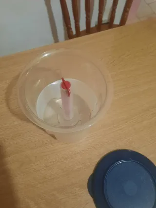 Porta olive trasparente con coperchio