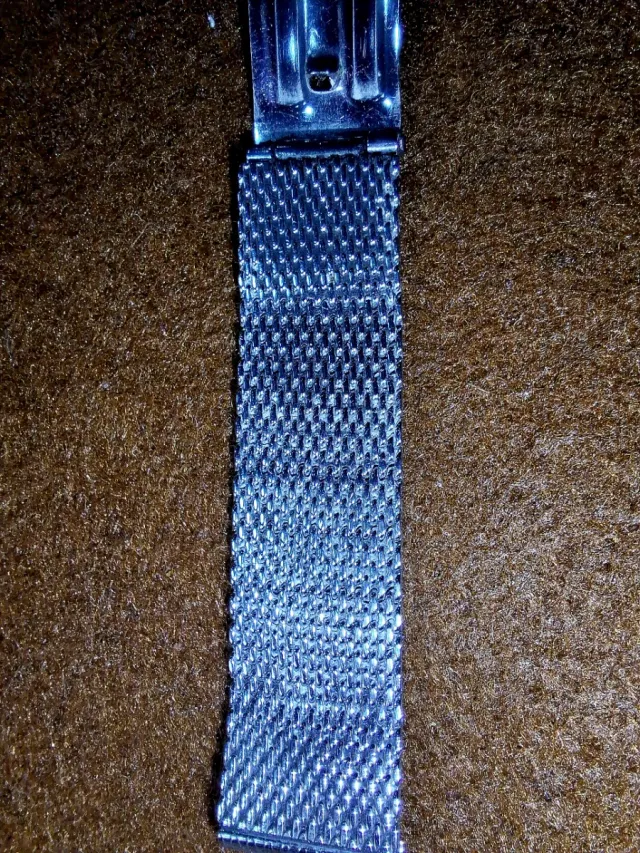 Pulsera Citizen original 13mm