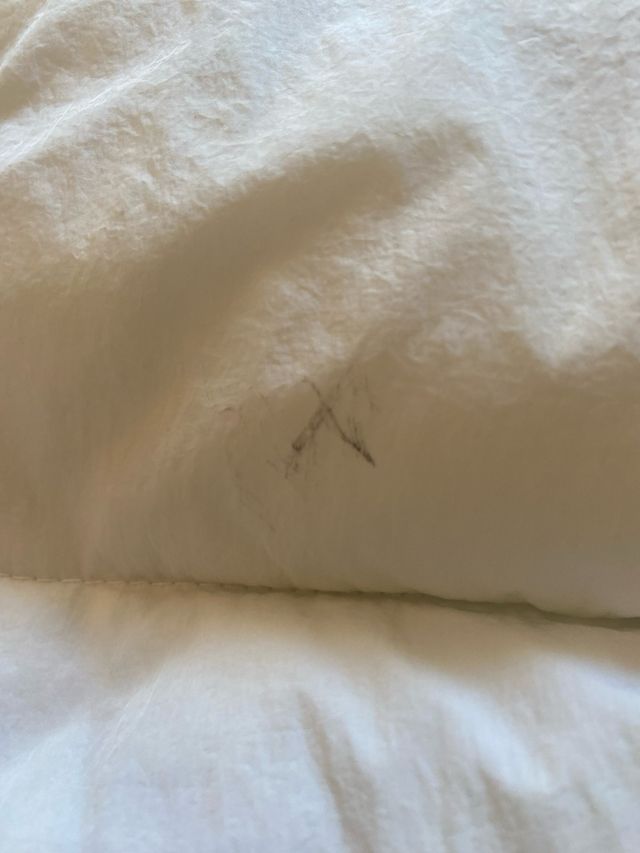 Chaqueta Invierno Blanca XL Bershka